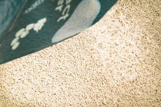 How Often Should You Change Cat Litter? - Pawfect Litter