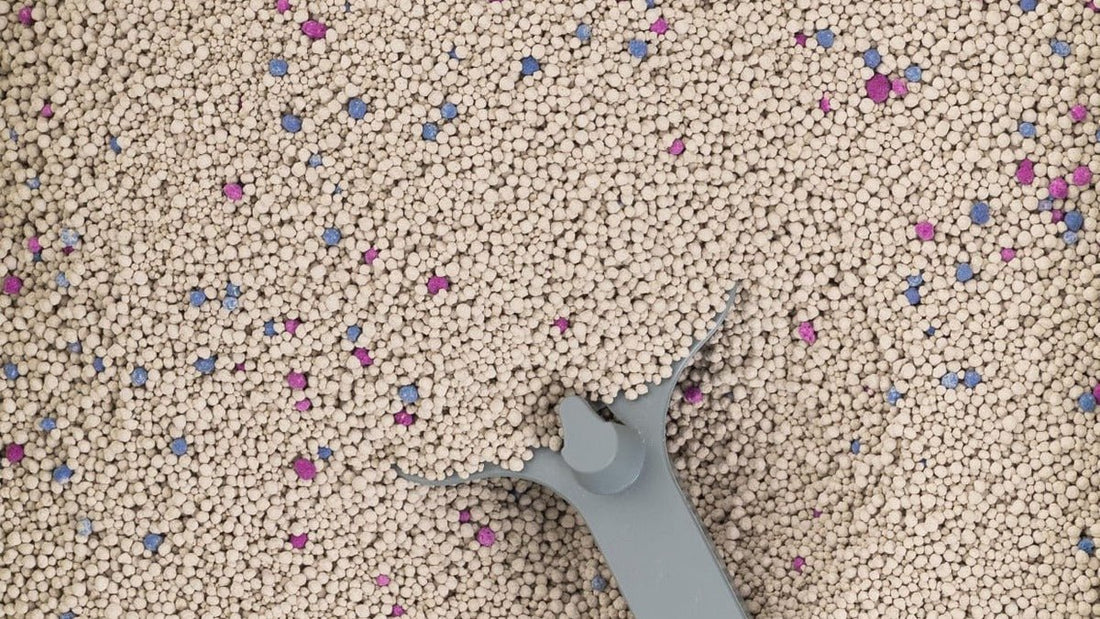 Tofu vs Bentonite Cat Litter — Which Is Better for Perth Cats? - Pawfect Litter
