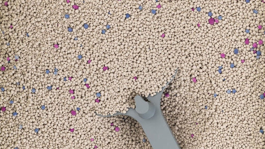 Tofu vs Bentonite Cat Litter — Which Is Better for Perth Cats? - Pawfect Litter