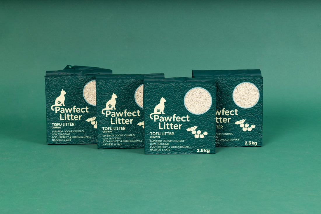 What Is Tofu Cat Litter and How Does It Work? - Pawfect Litter