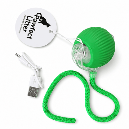Pawfect Automatic Interactive Cat Toy - Pawfect Litter