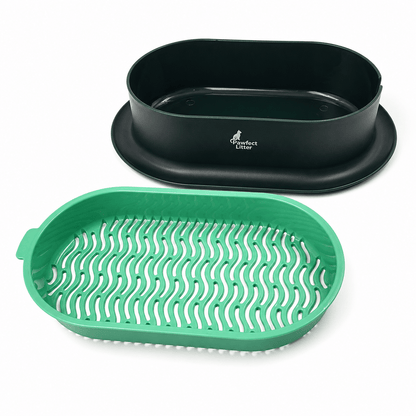Pawfect Wheatgrass Growing Kit - Pawfect Litter