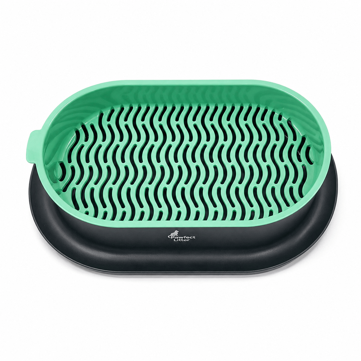 Pawfect Wheatgrass Growing Kit - Pawfect Litter